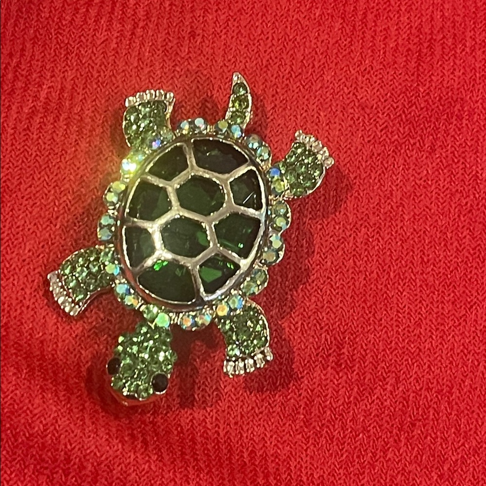 Turtle Brooch And Scraf Bundle - Picture 14 of 17